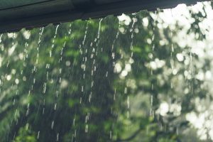 Way to Recycle Rainwater